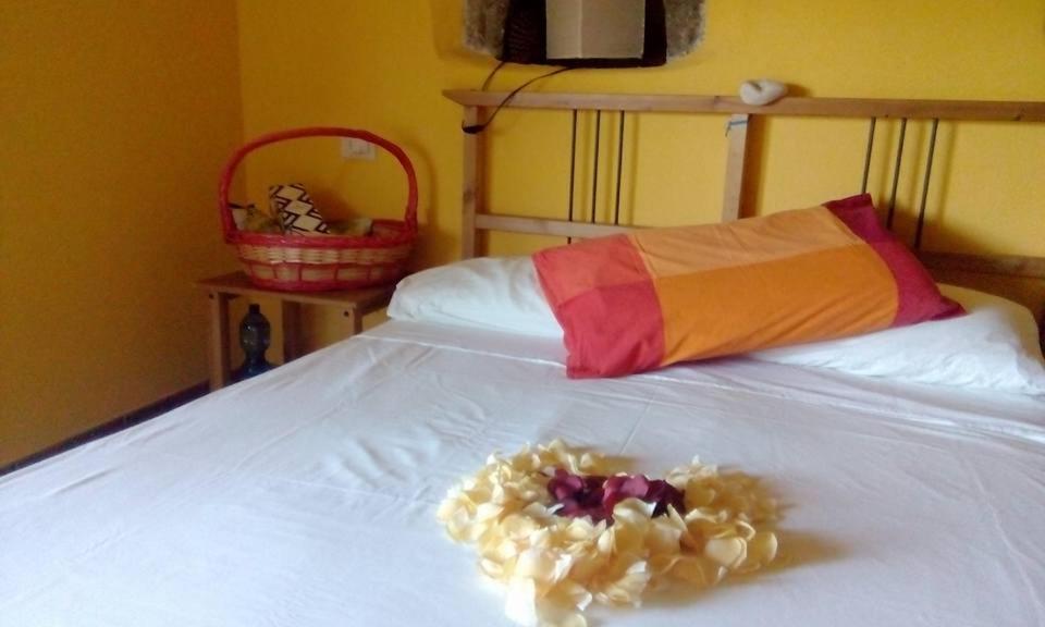 Farmhouse B&B Castagnola 64 Ne Екстер'єр фото