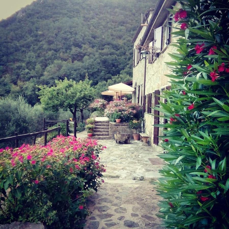 Farmhouse B&B Castagnola 64 Ne Екстер'єр фото
