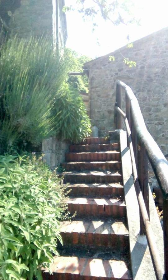 Farmhouse B&B Castagnola 64 Ne Екстер'єр фото